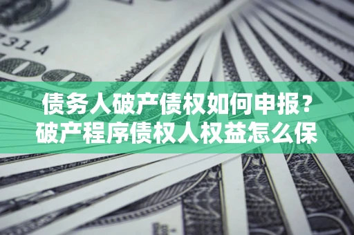 北京债务人破产债权如何申报？破产程序债权人权益怎么保障？