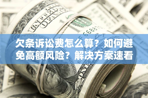 北京欠条诉讼费怎么算？如何避免高额风险？解决方案速看！
